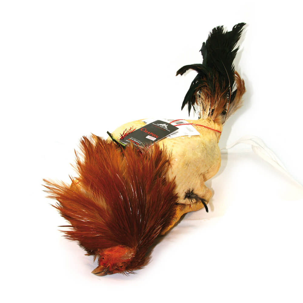 Chapon de Pintade Tradition